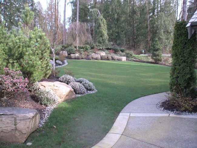 Lawn-Care-Sammamish-WA