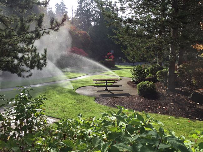 Lawn-Mowing-Service-Kirkland-WA