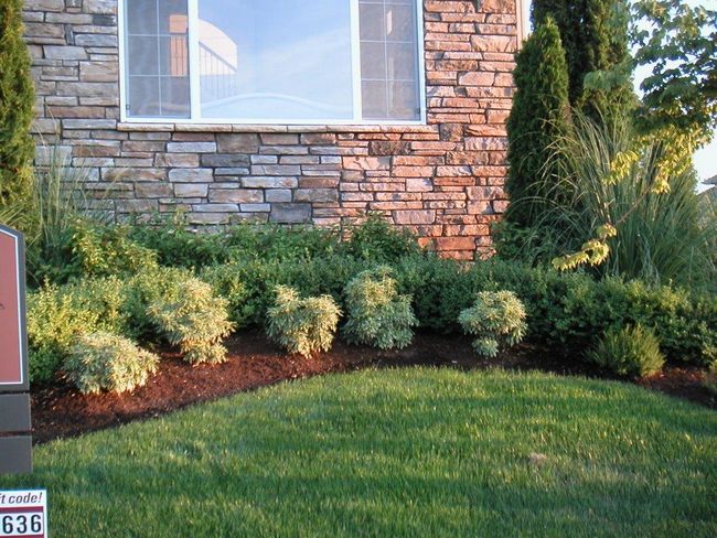 Lawn-Service-Kirkland-WA
