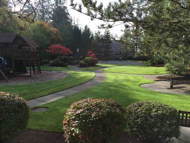 Lawn-Service-Woodinville-WA